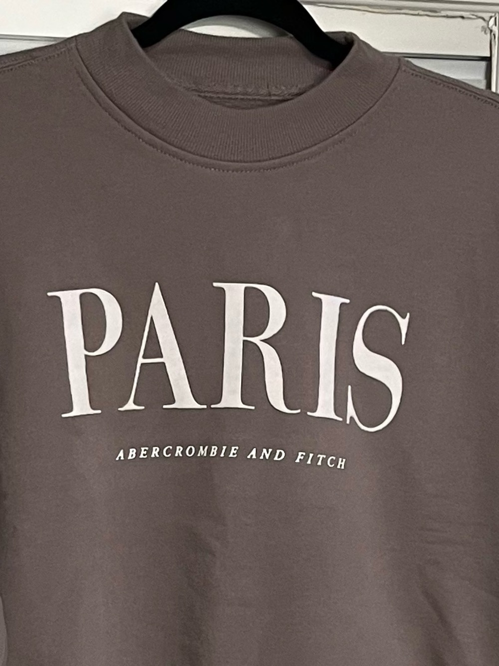 Abercrombie & Fitch Sweater Collection Crewneck Long Sleeve Cozy Warm Dusty Tan - Picture 3 of 5